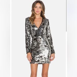 NWT Rachel Zoe Muse V-Neck Dress Silver & Black - Size 4